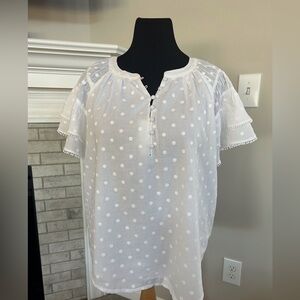 Ann Taylor Swiss Dot Ruffle Sleeve Top